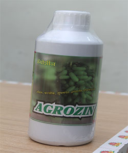 The Right way to Grow the Sisters of Field